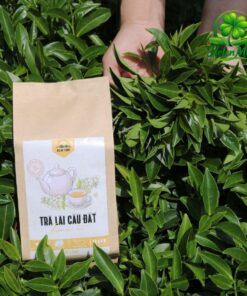DalatFarm Jasmine Tea Cầu Đất – Wholesale7