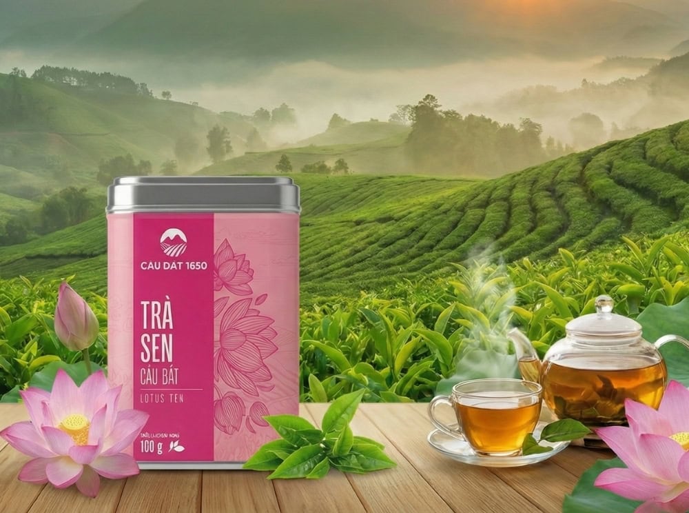 tra sen cau dat 1 Helenmart Wholesale
